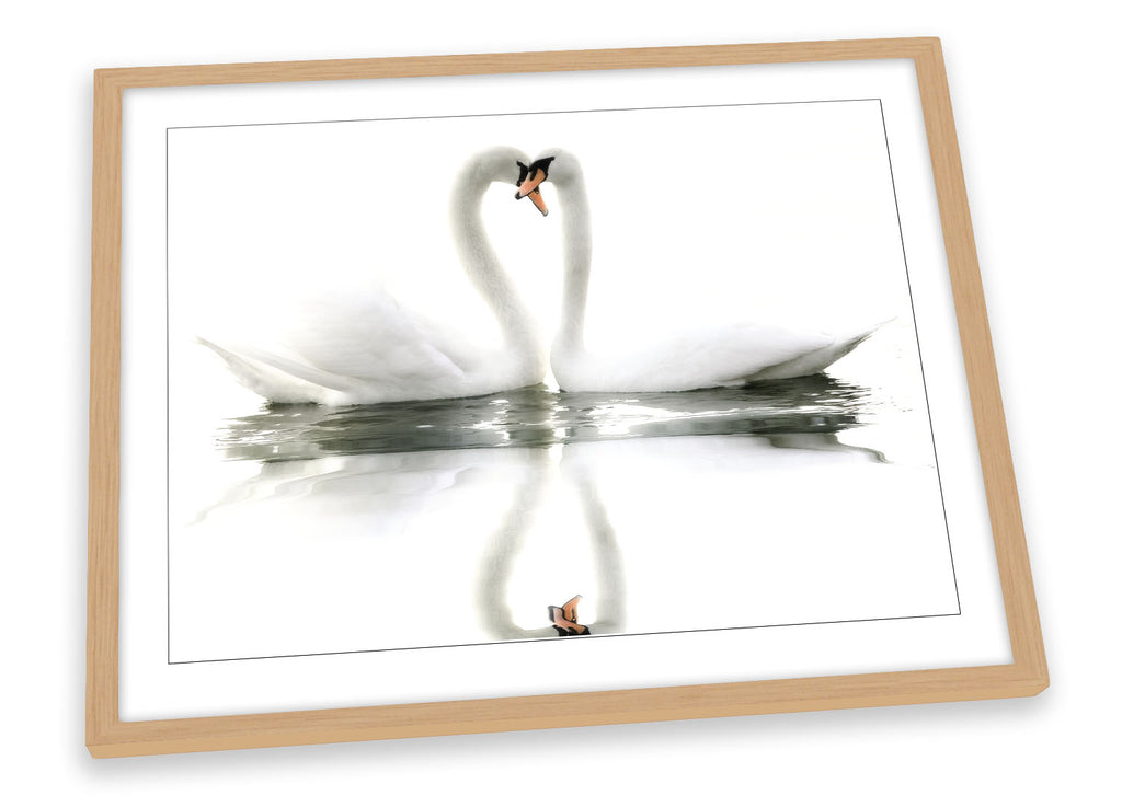 Pair of Swans Love Framed