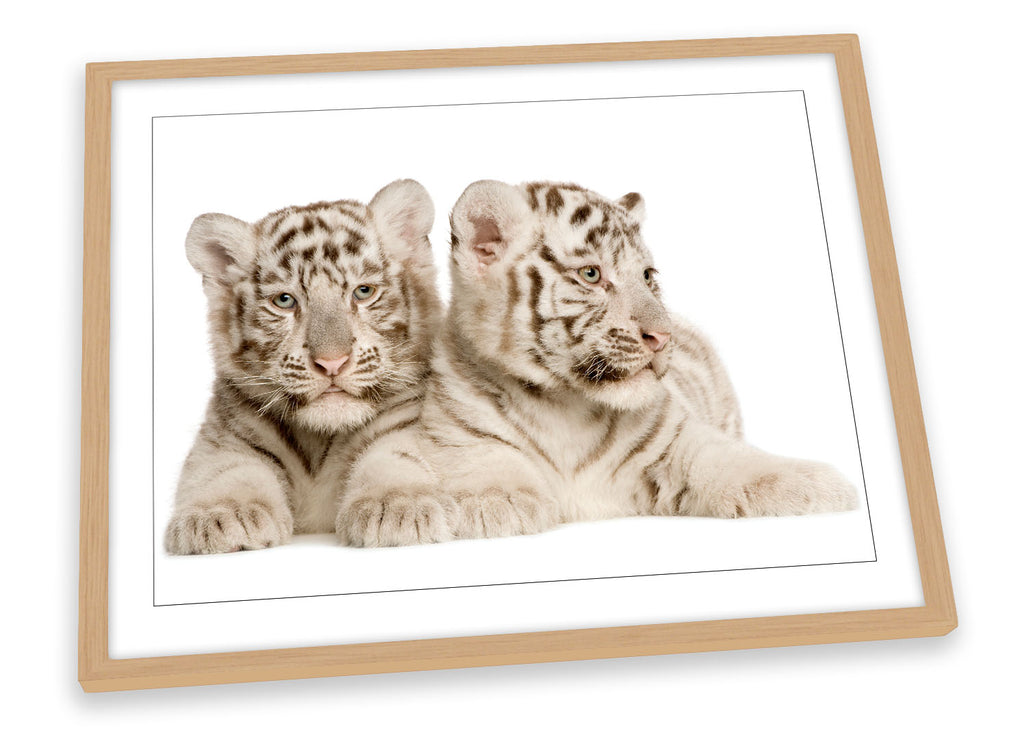 Tiger Cubs Cute Framed