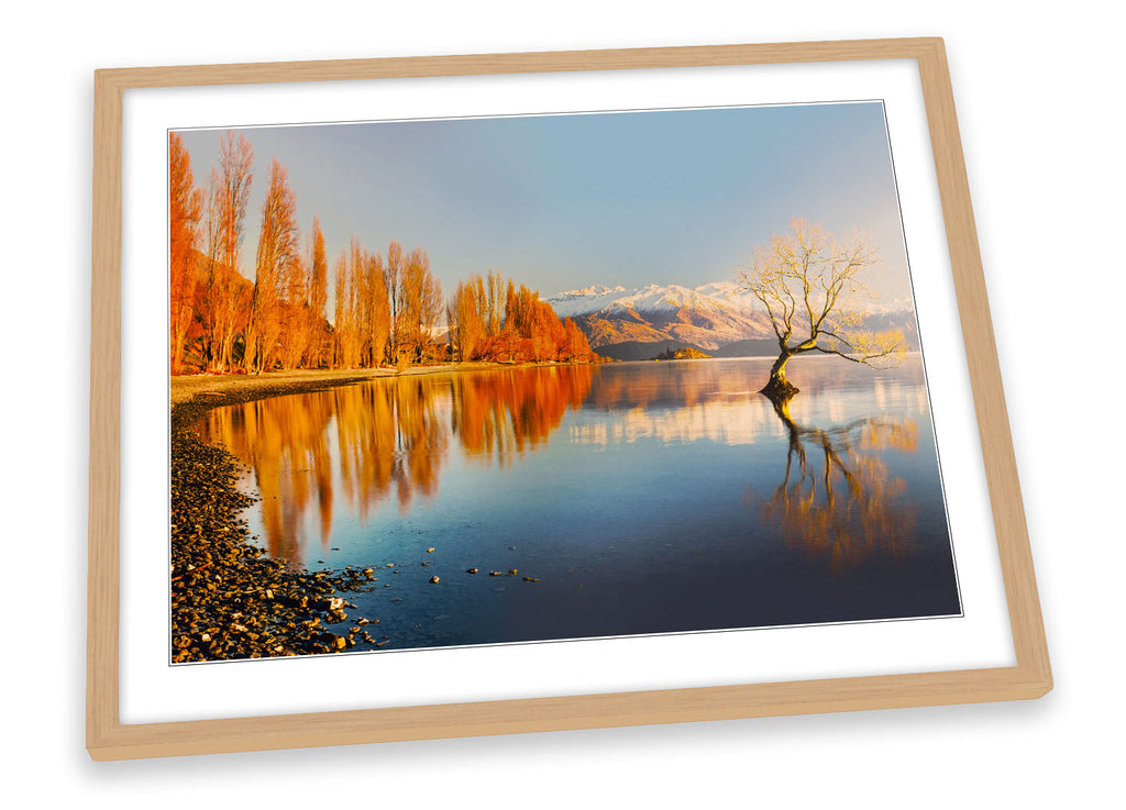 Lake Wanaka Tree New Zealand Orange Framed