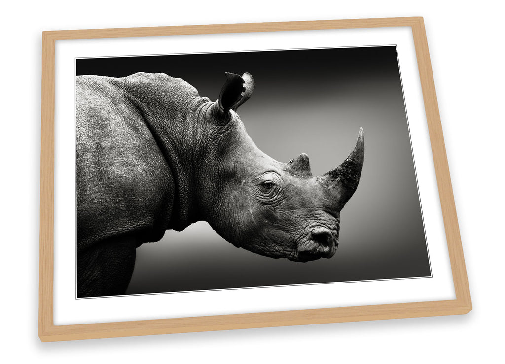 Rhino Wildlife Black & White Framed