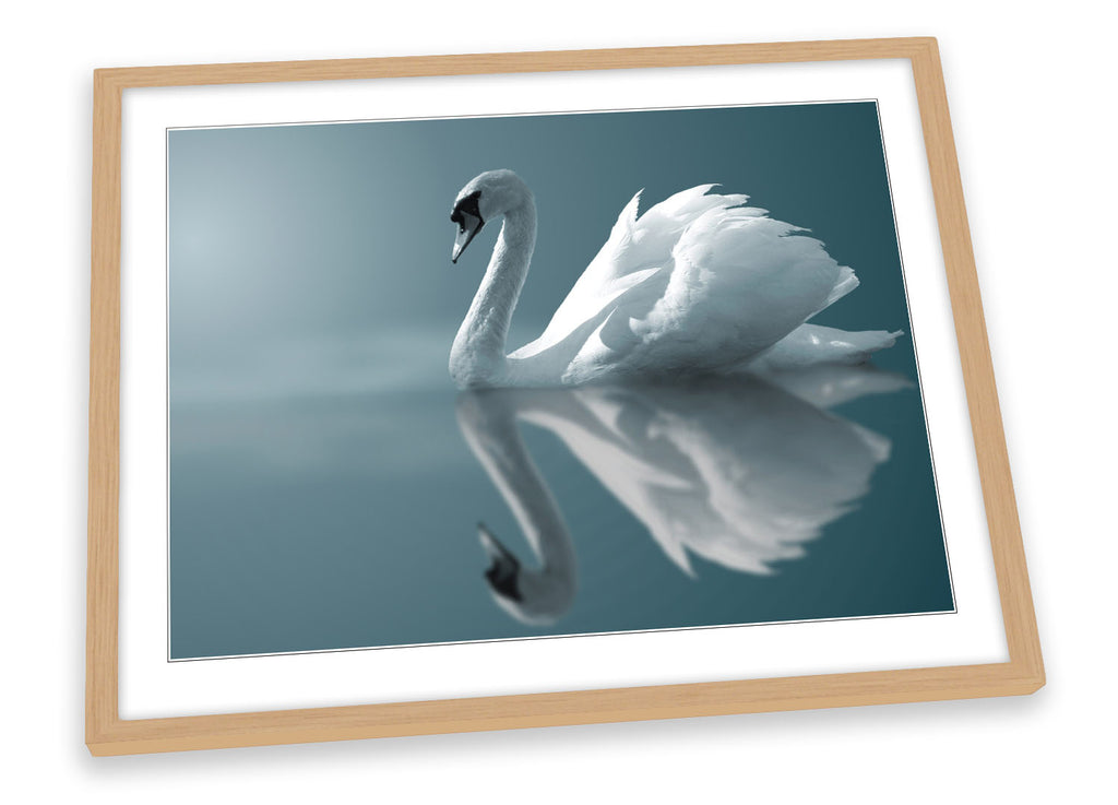Graceful Swan Wildlife Framed