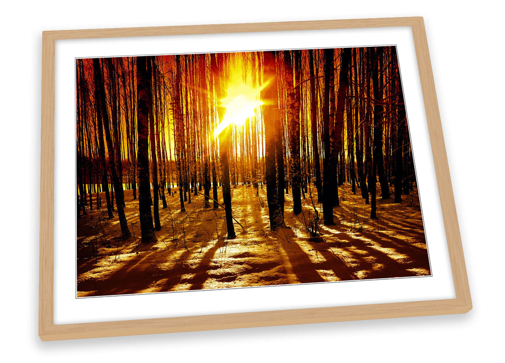 Winter Forest Sunset Landscape Framed