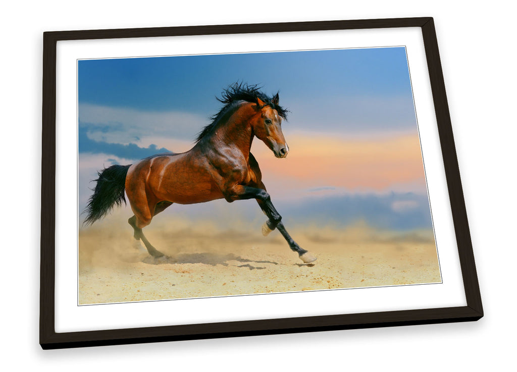 Horse Gallop Stallion Framed