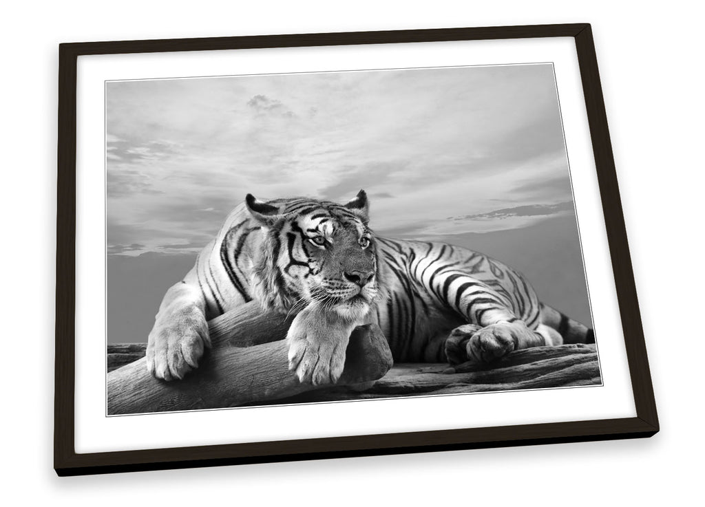 Tiger Sunset B&W Framed
