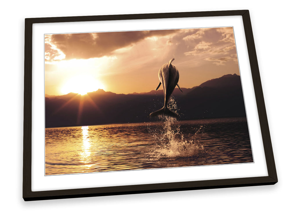 Dolphin Sunset Framed