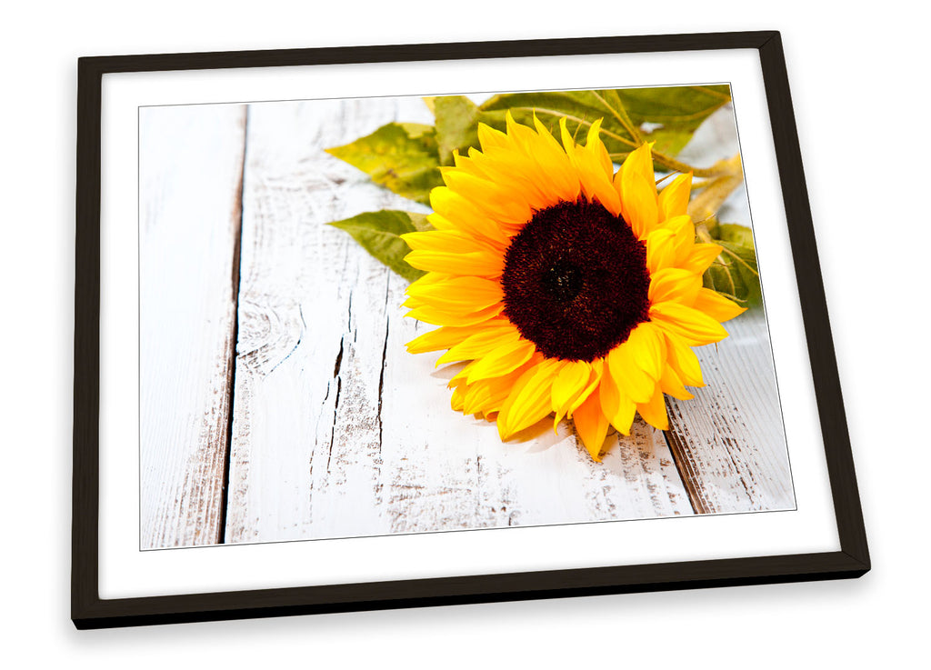 Sunflower Floral Flower Framed