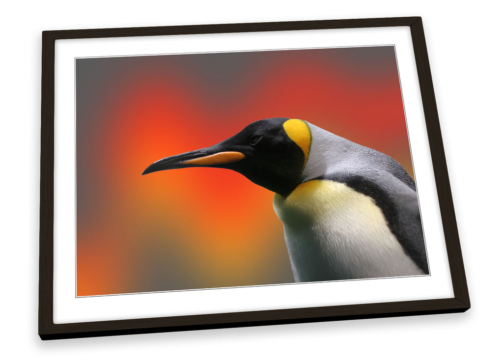 Penguin Wildlife Framed