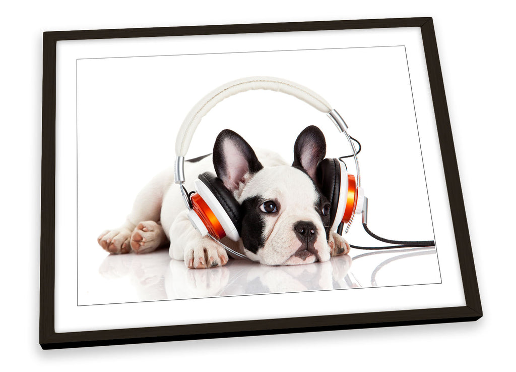 French Bulldog Puppy Music White Framed