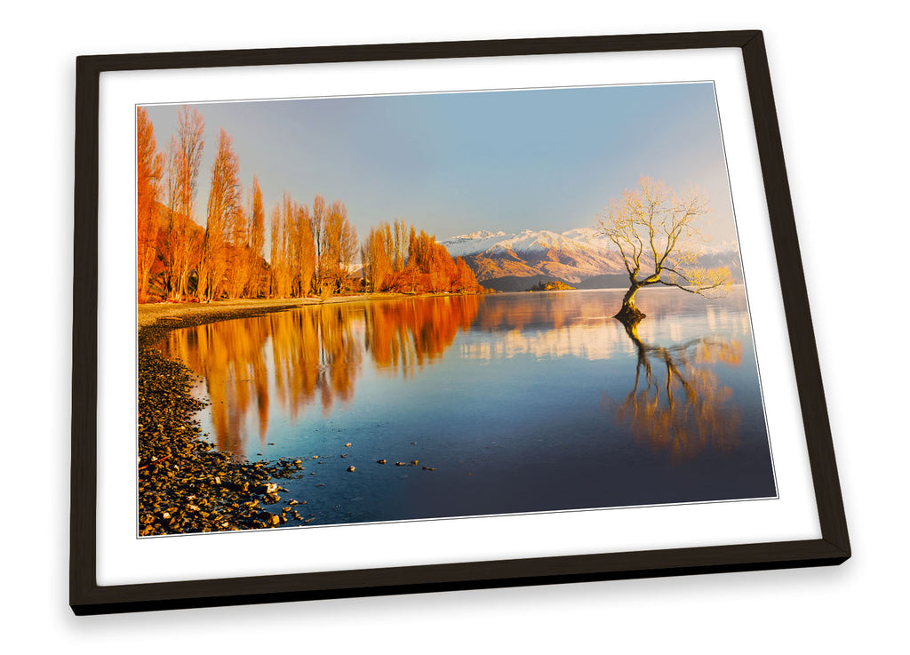 Lake Wanaka Tree New Zealand Orange Framed