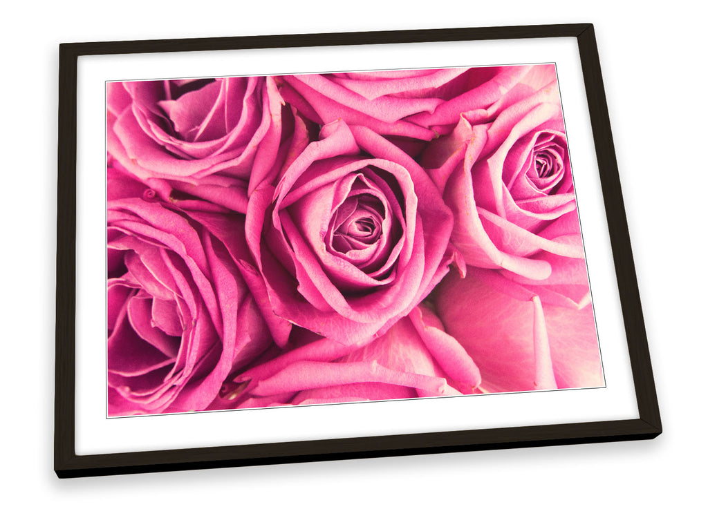 Pink Rose Floral Flower Framed