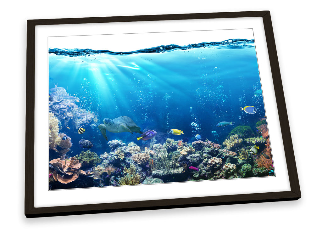 Underwater Fish Coral Marine Framed