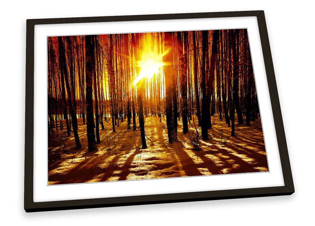 Winter Forest Sunset Landscape Framed