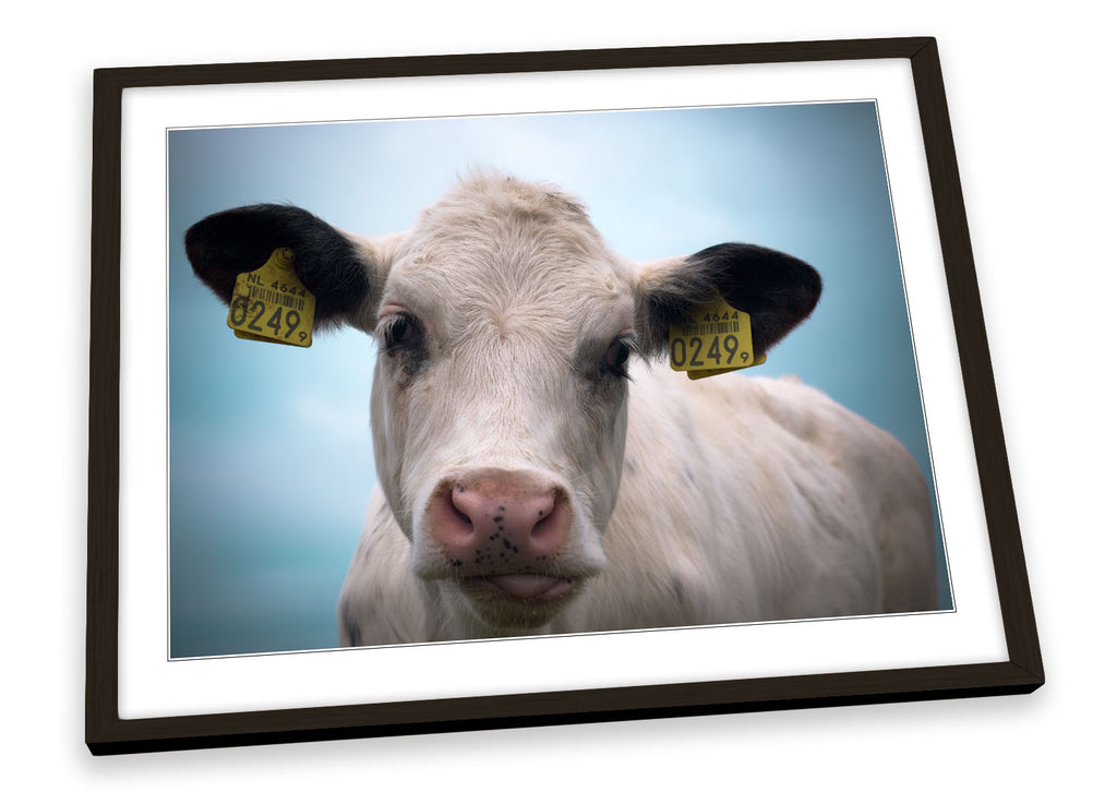 Farm Cow Face Framed