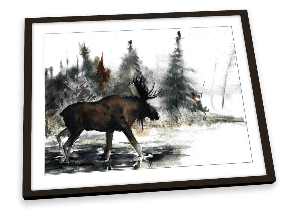 Moose Antlers Wildlife Framed