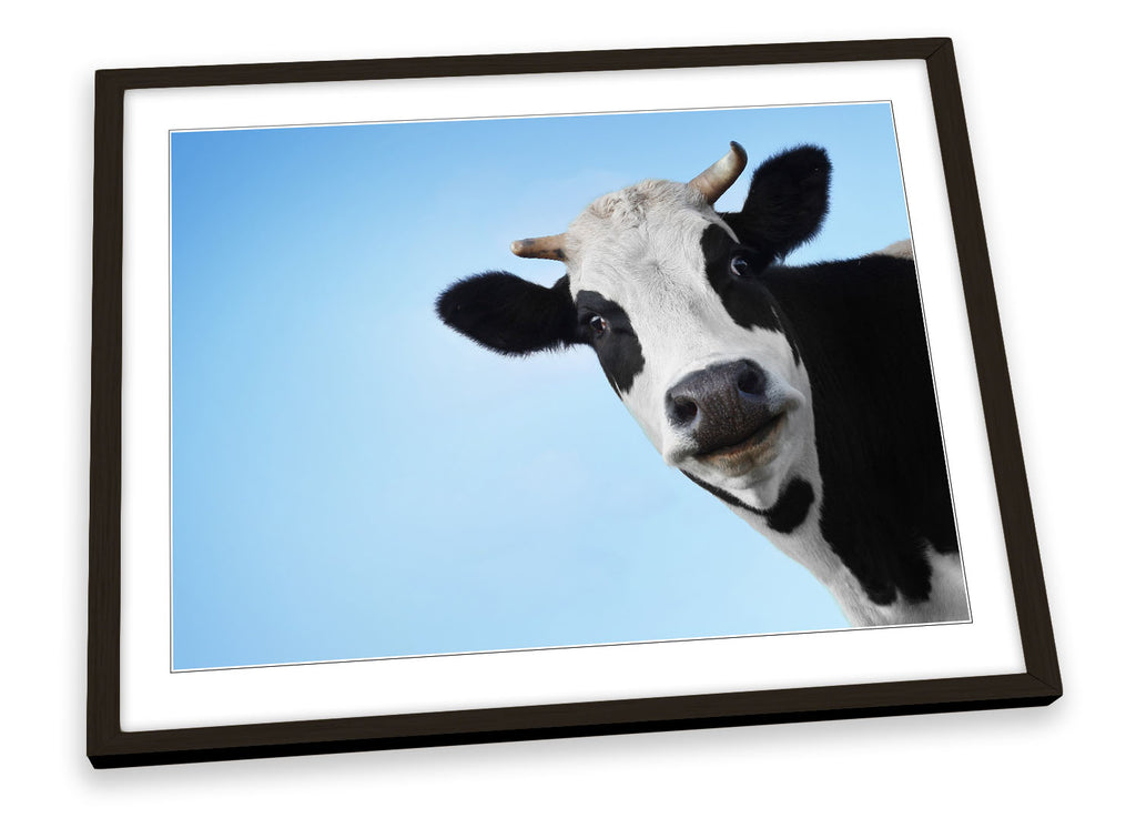 Cow Farm Face Framed