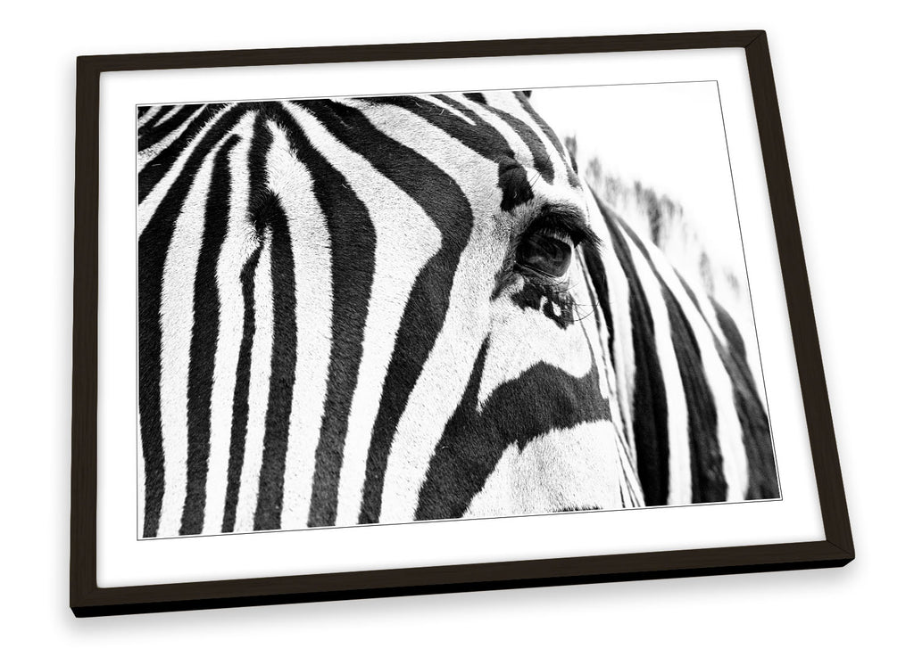 Zebra Stripes Animal Framed