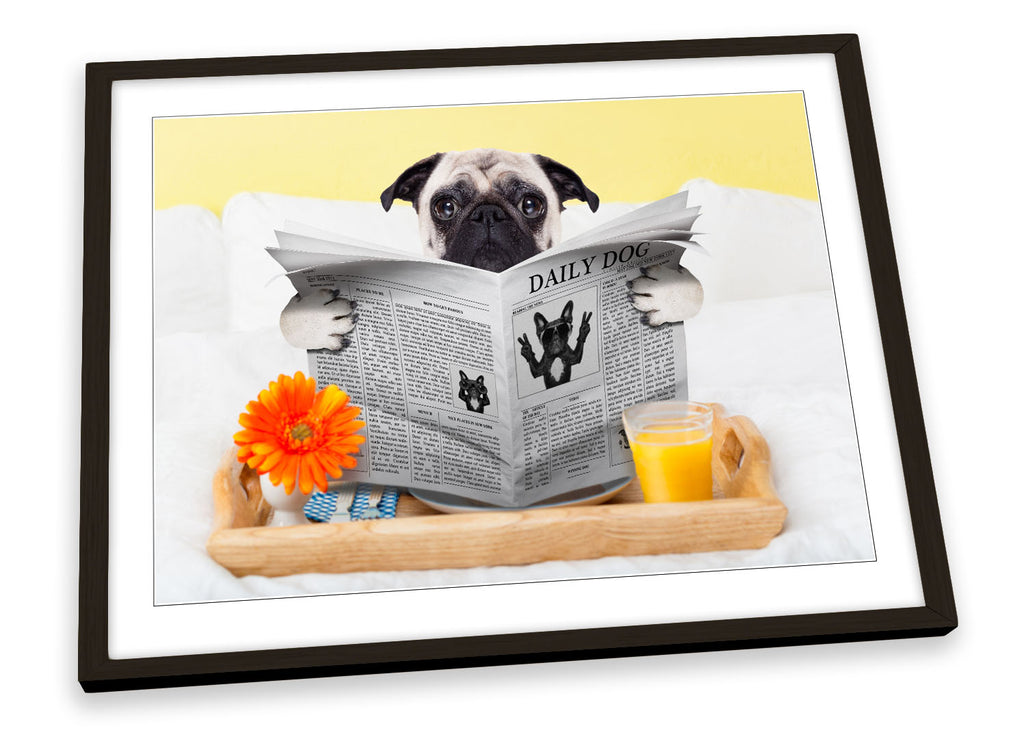 Pug Dog Newpaper Bedroom Yellow Framed