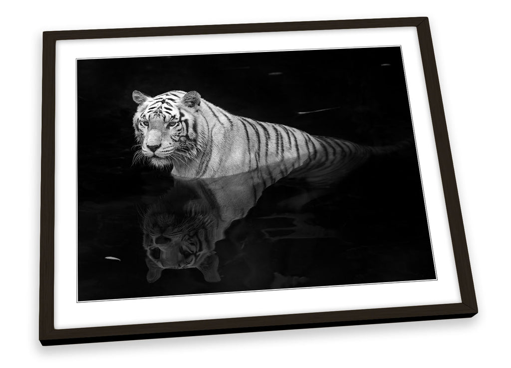 White Tiger Wildlife Framed