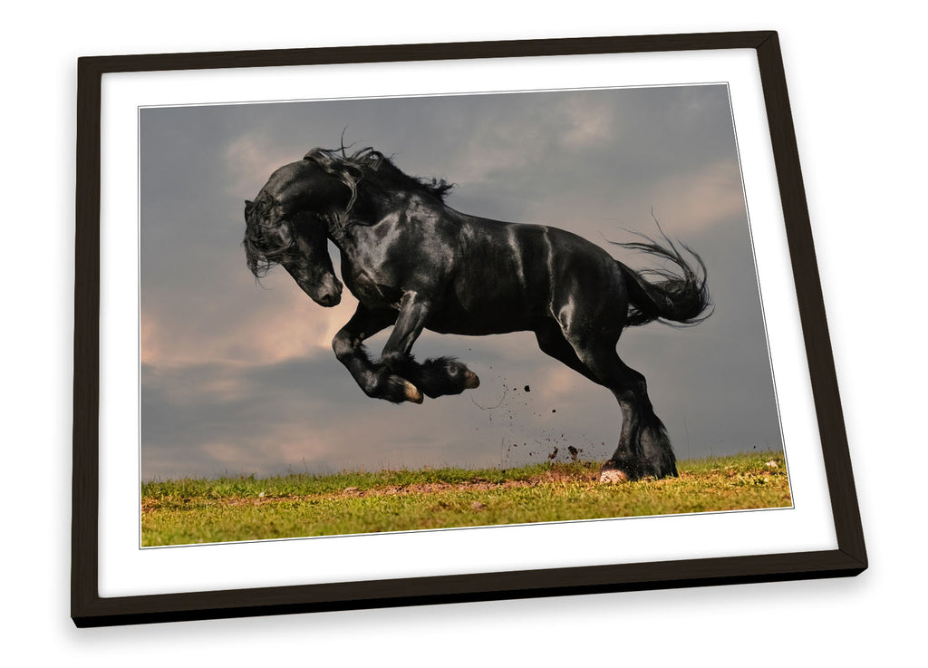 Black Stallion Horse Framed