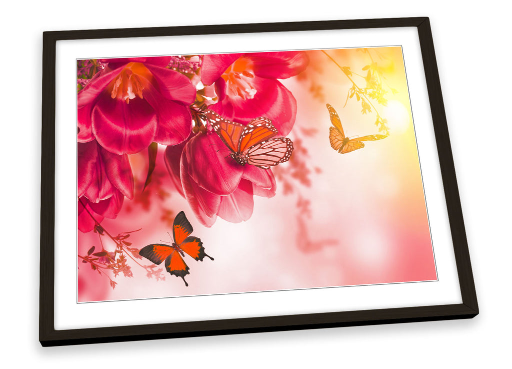Butterfly Floral Flowers Framed