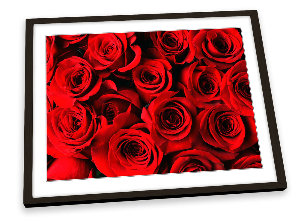 Rose Flowers Collection Red Framed