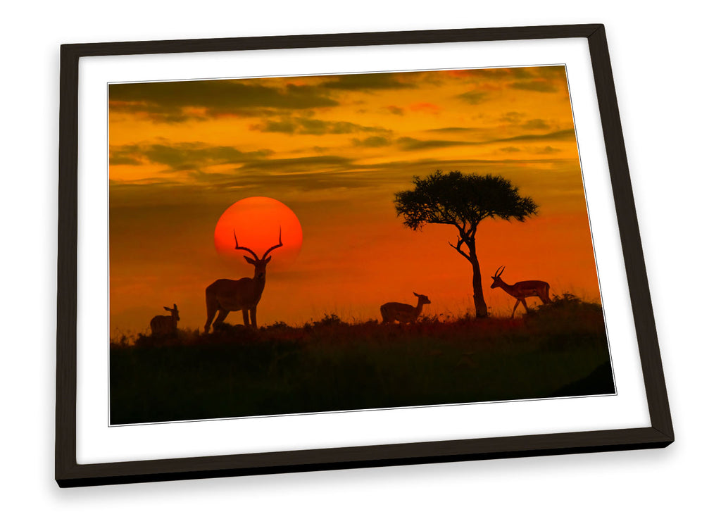 Africa Sunset Wildlife Safari Framed