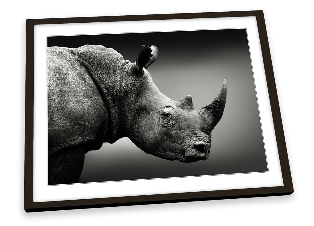 Rhino Wildlife Black & White Framed