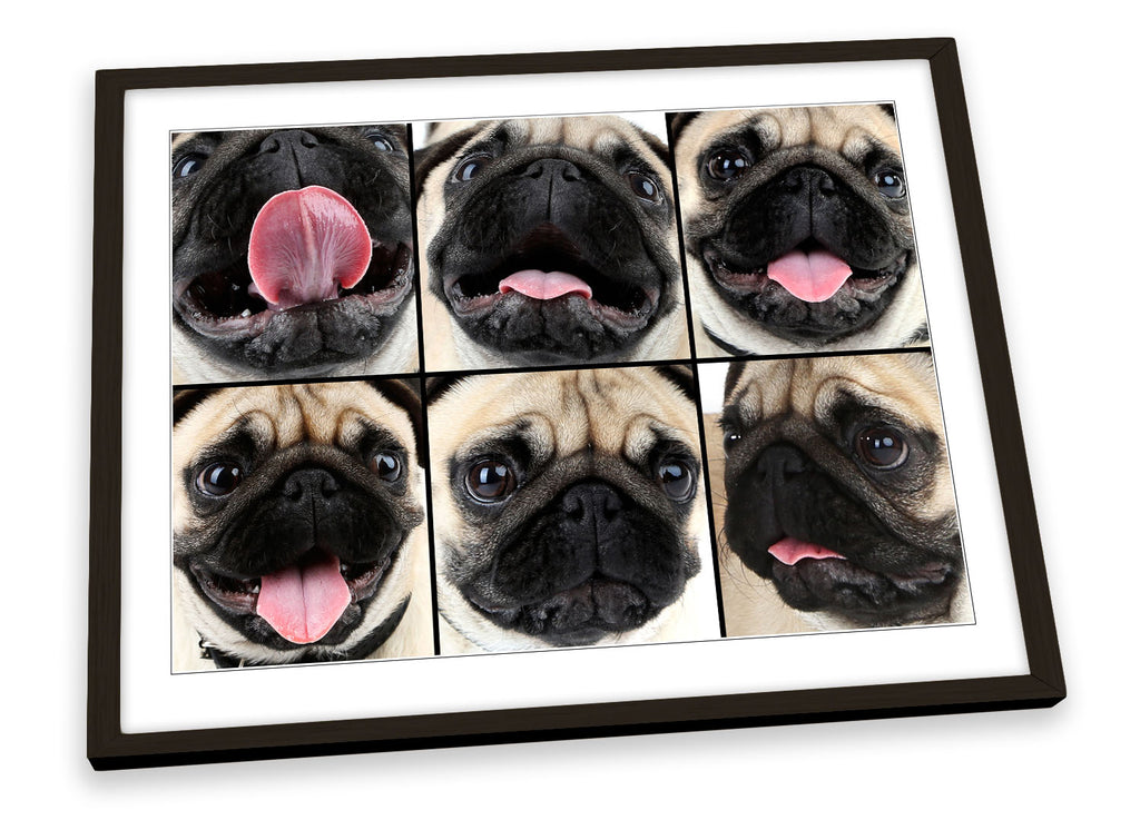 Cute Pug Dog Collage Framed
