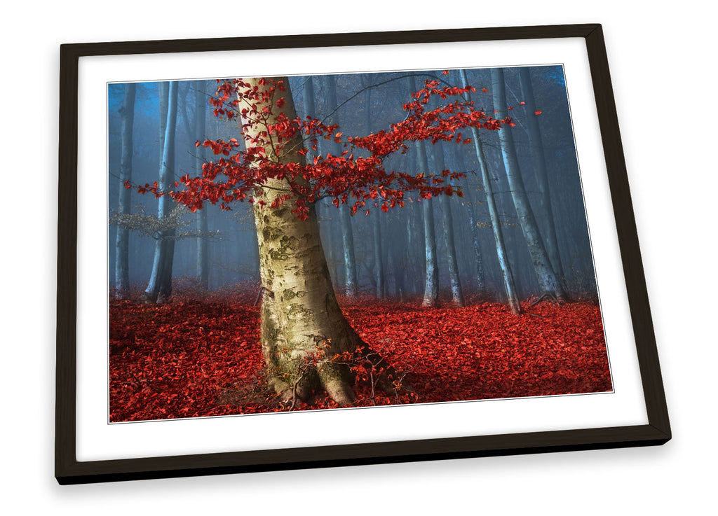 Forest Red Twilight Landscape Framed