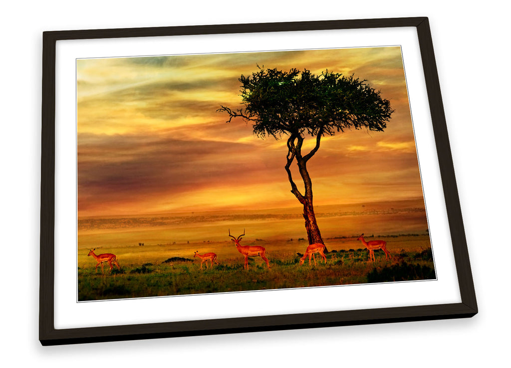 African Sunset Landscape Framed