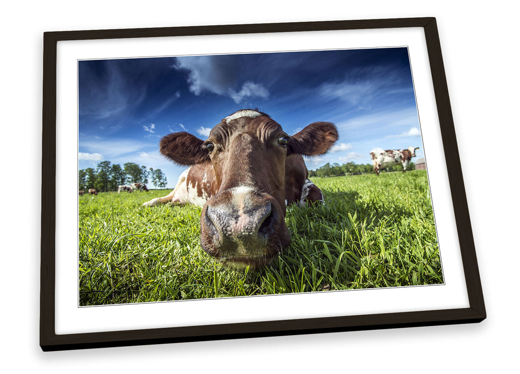 Farm Cow Field Framed