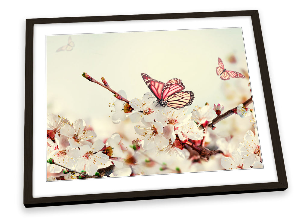 Butterfly Cream Floral Flowers Framed
