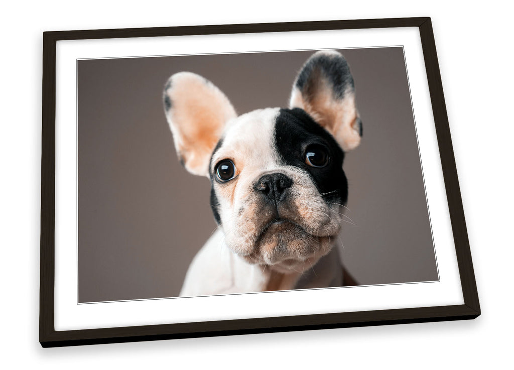 French Bulldog Cute Framed