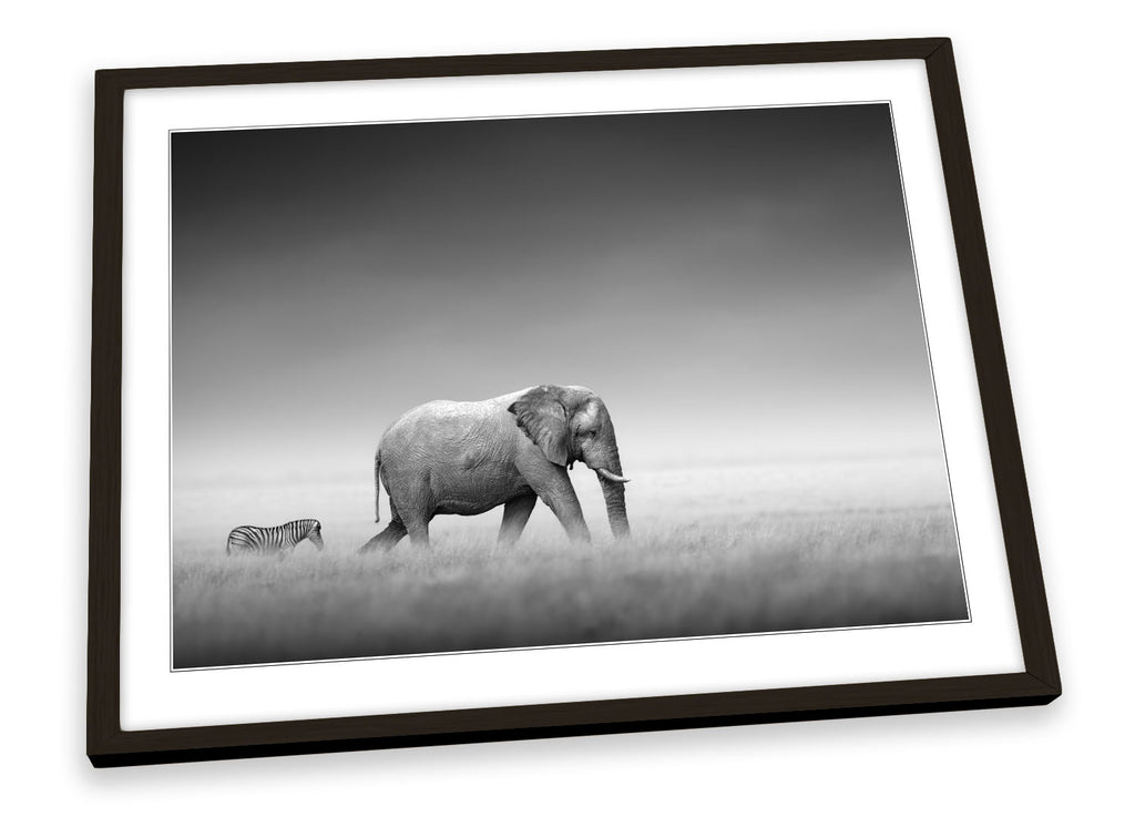 Elephant Zebra Safari Framed
