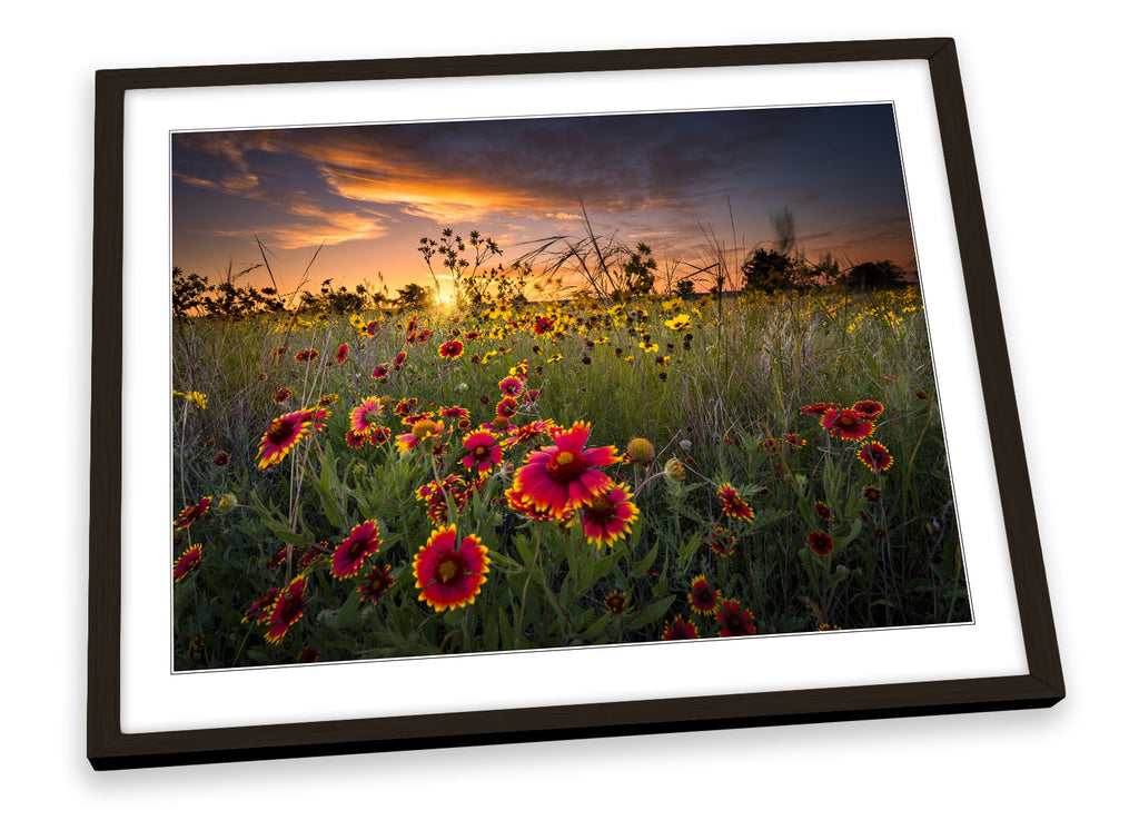 Sunset Wild Floral Flowers Framed