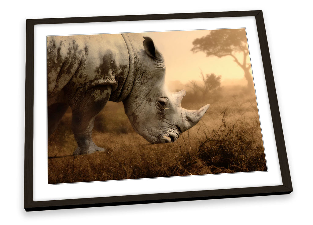 Rhino Sunset Framed