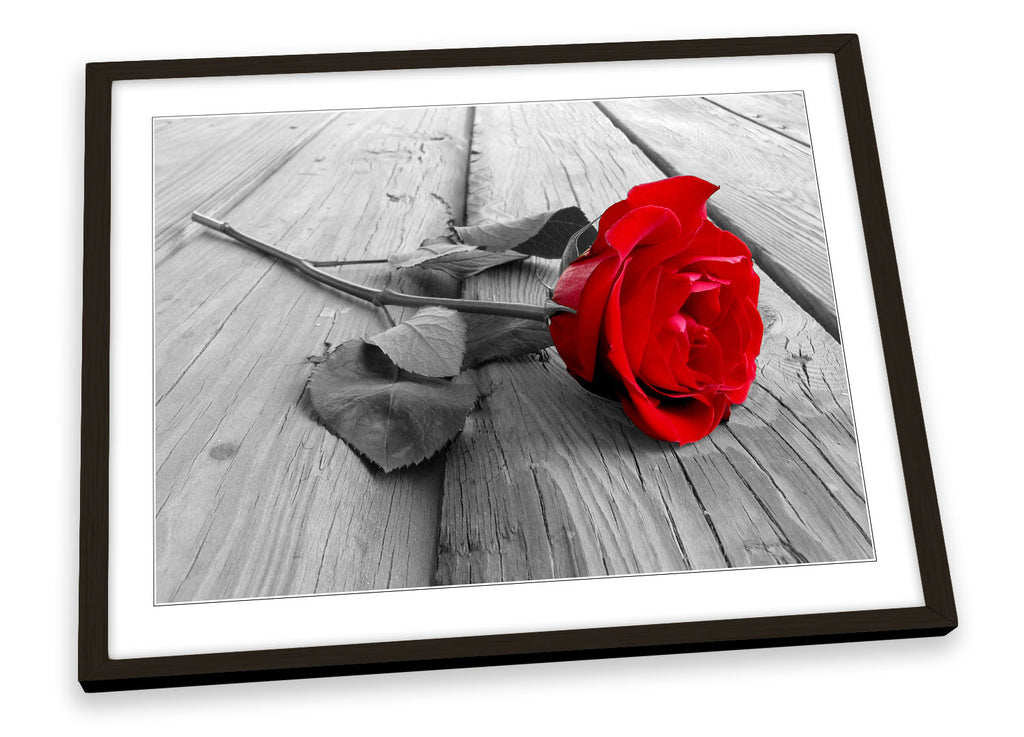Red Rose Floral Flower Framed