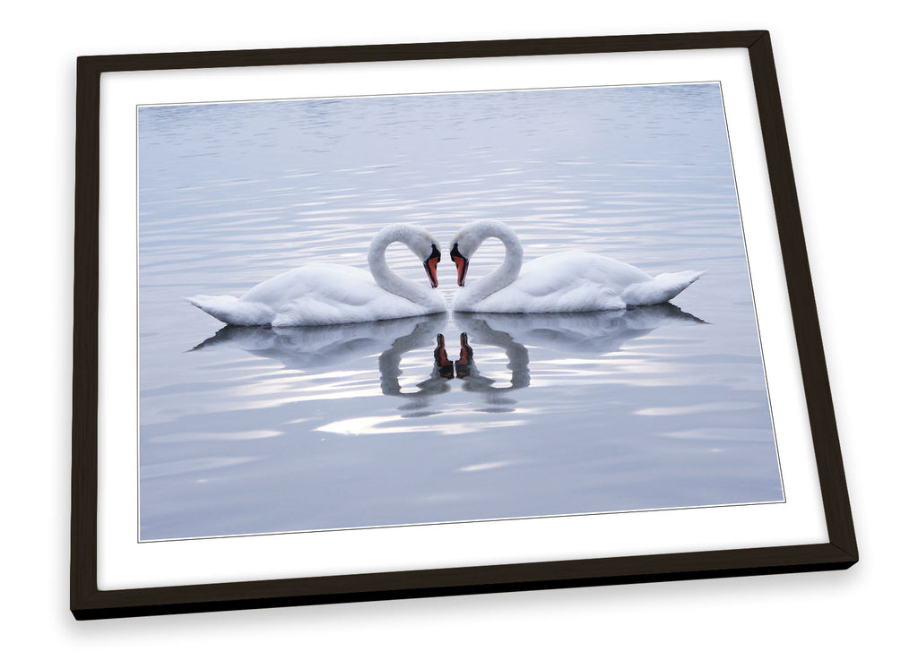Swans Love Pair Heart Framed