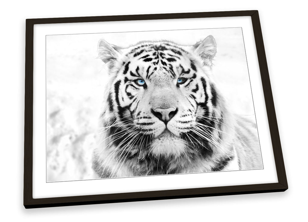White Tiger Face Framed