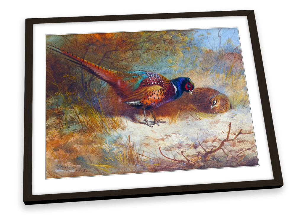 Archibald Thorburn Pheasants Framed