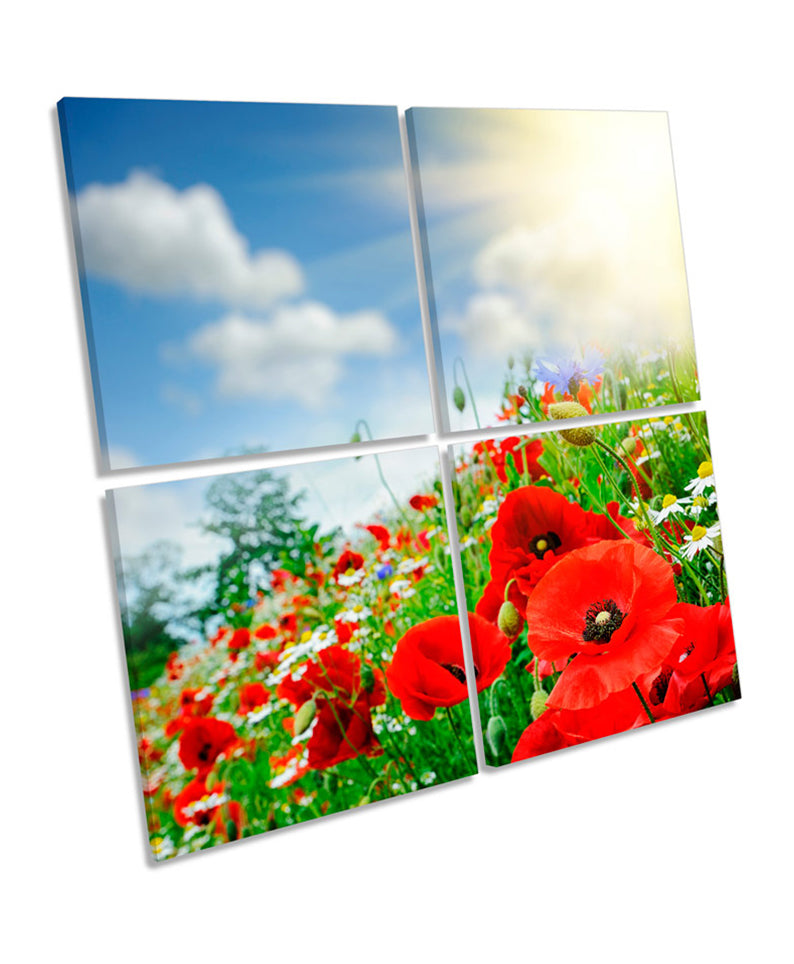 Red Poppies Floral Flower Summer