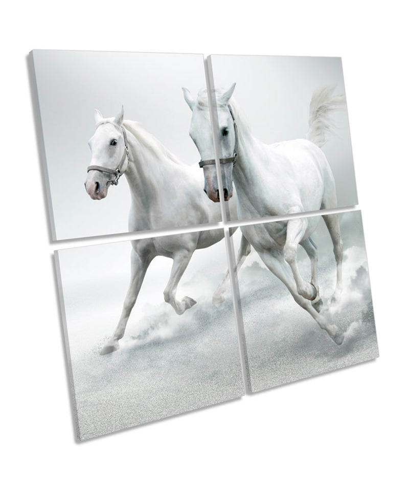 White Horses Stallion