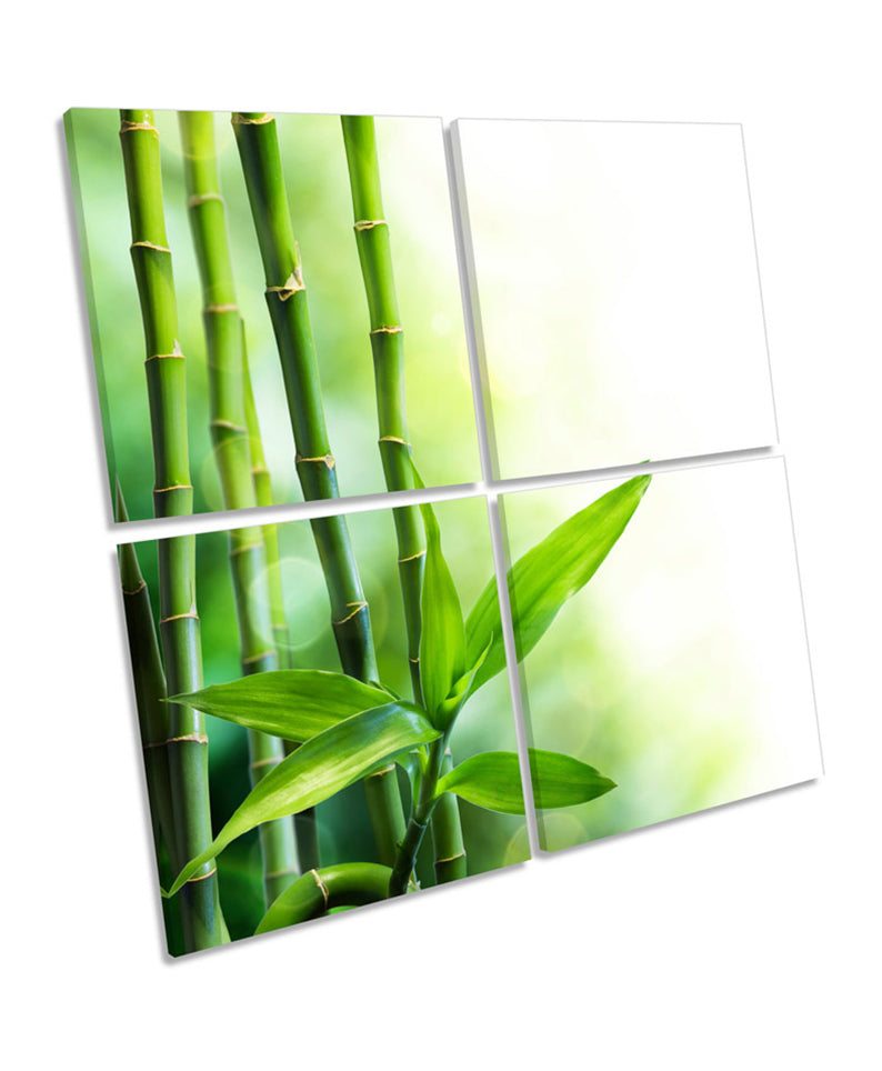 Bamboo Floral