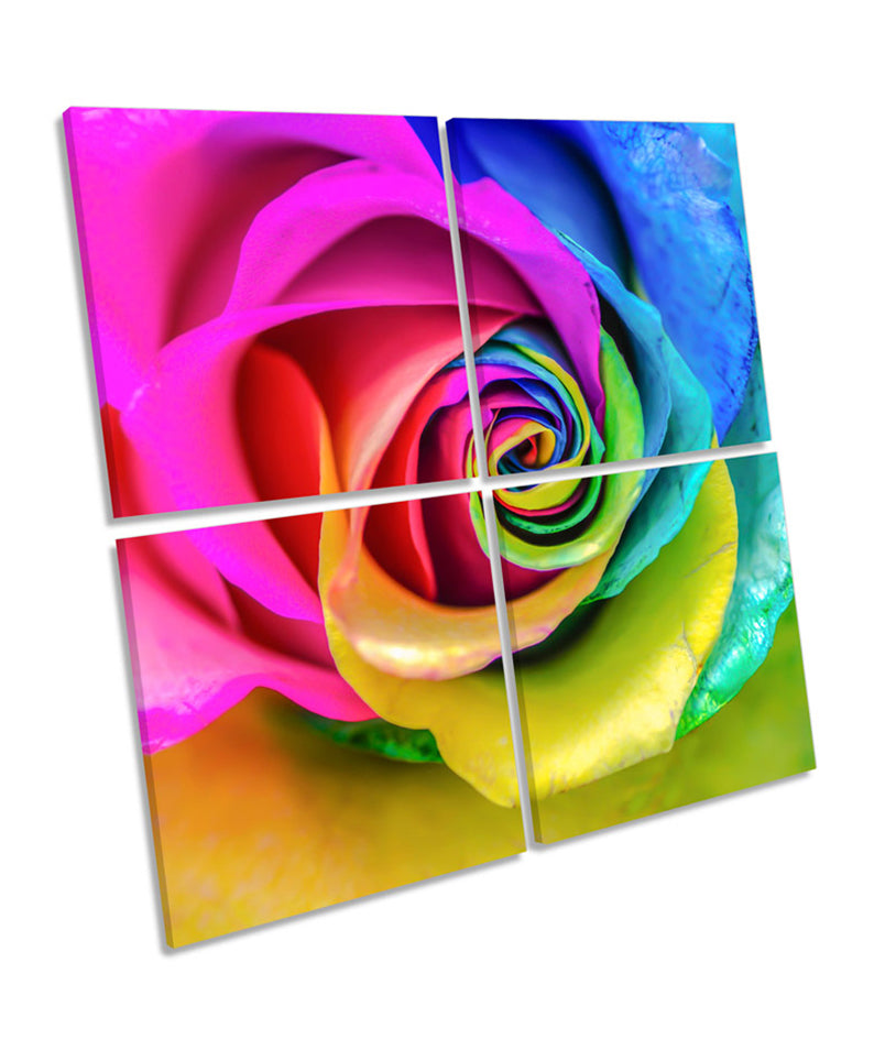 Rainbow Rose Flower Modern