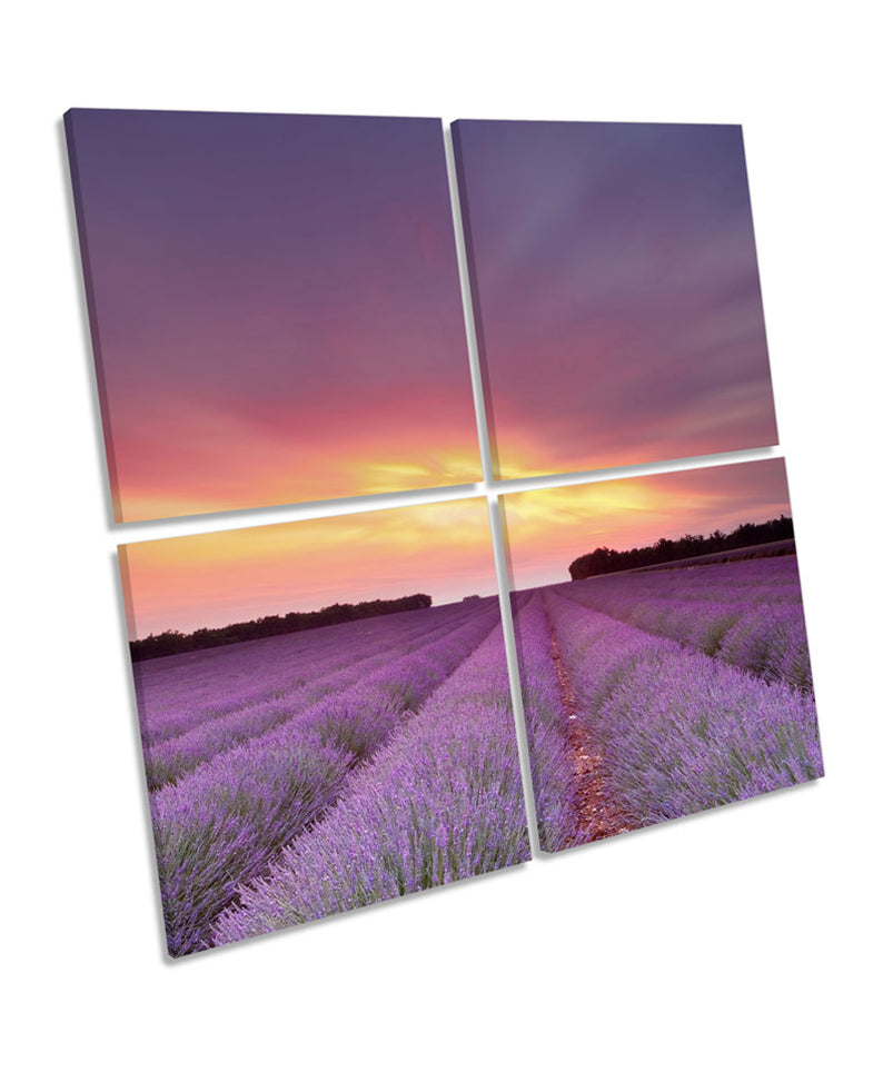 Sunset Landscape Lavender