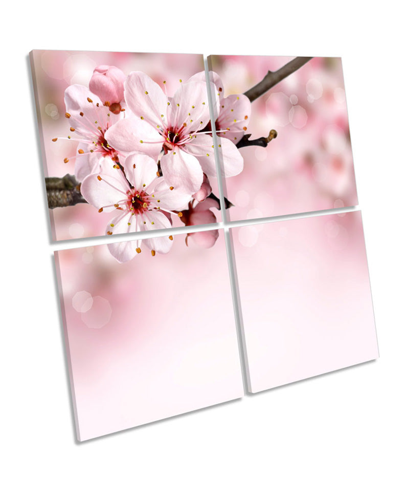 Cherry Plum Floral Flowers