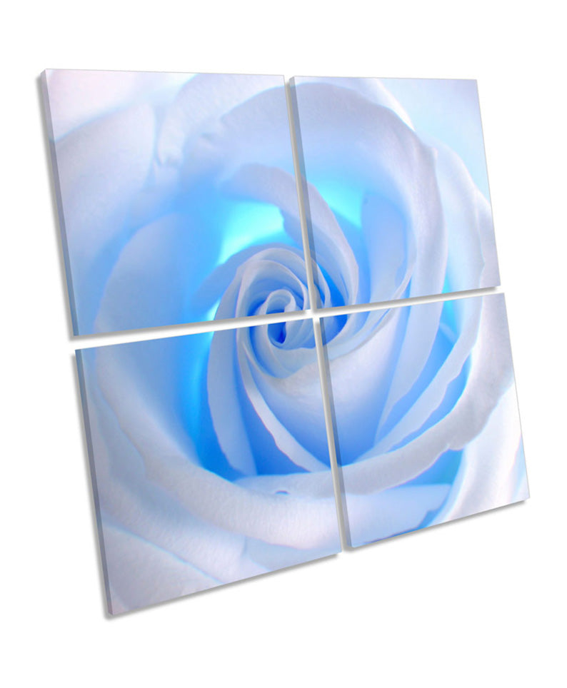 Rose Flower Blue Floral