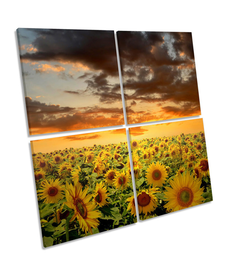 Sunflowers Sunset Floral