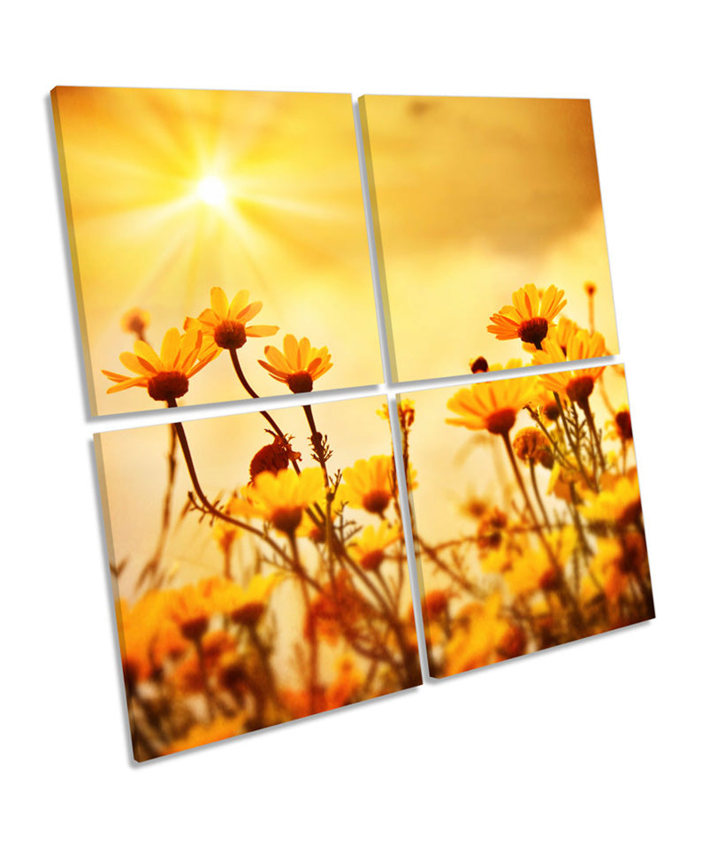 Yellow Floral Flowers Sunset