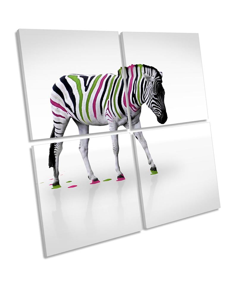 Zebra Multi Coloured Stripes